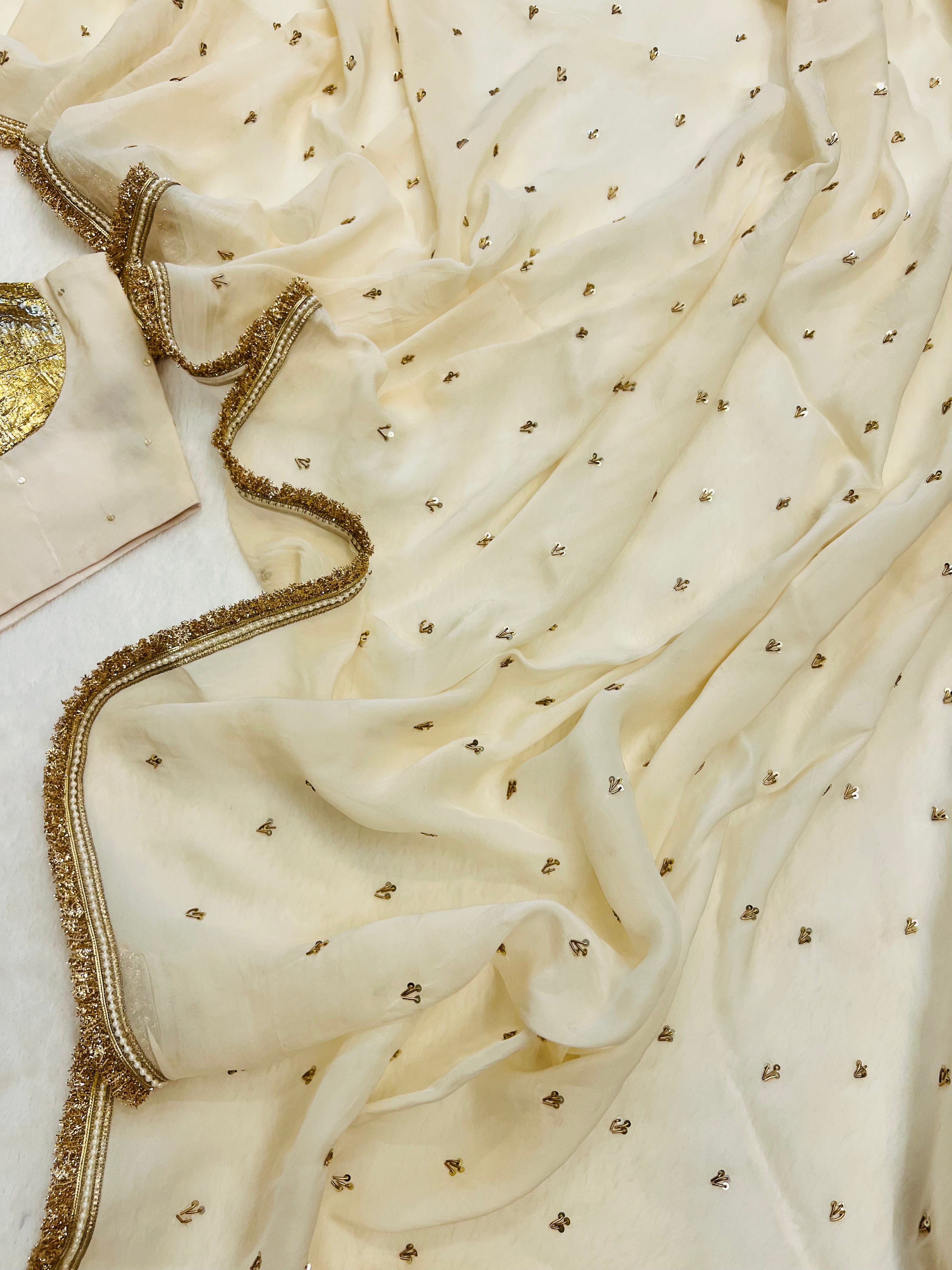 Noor-e-zari Handwork Saree