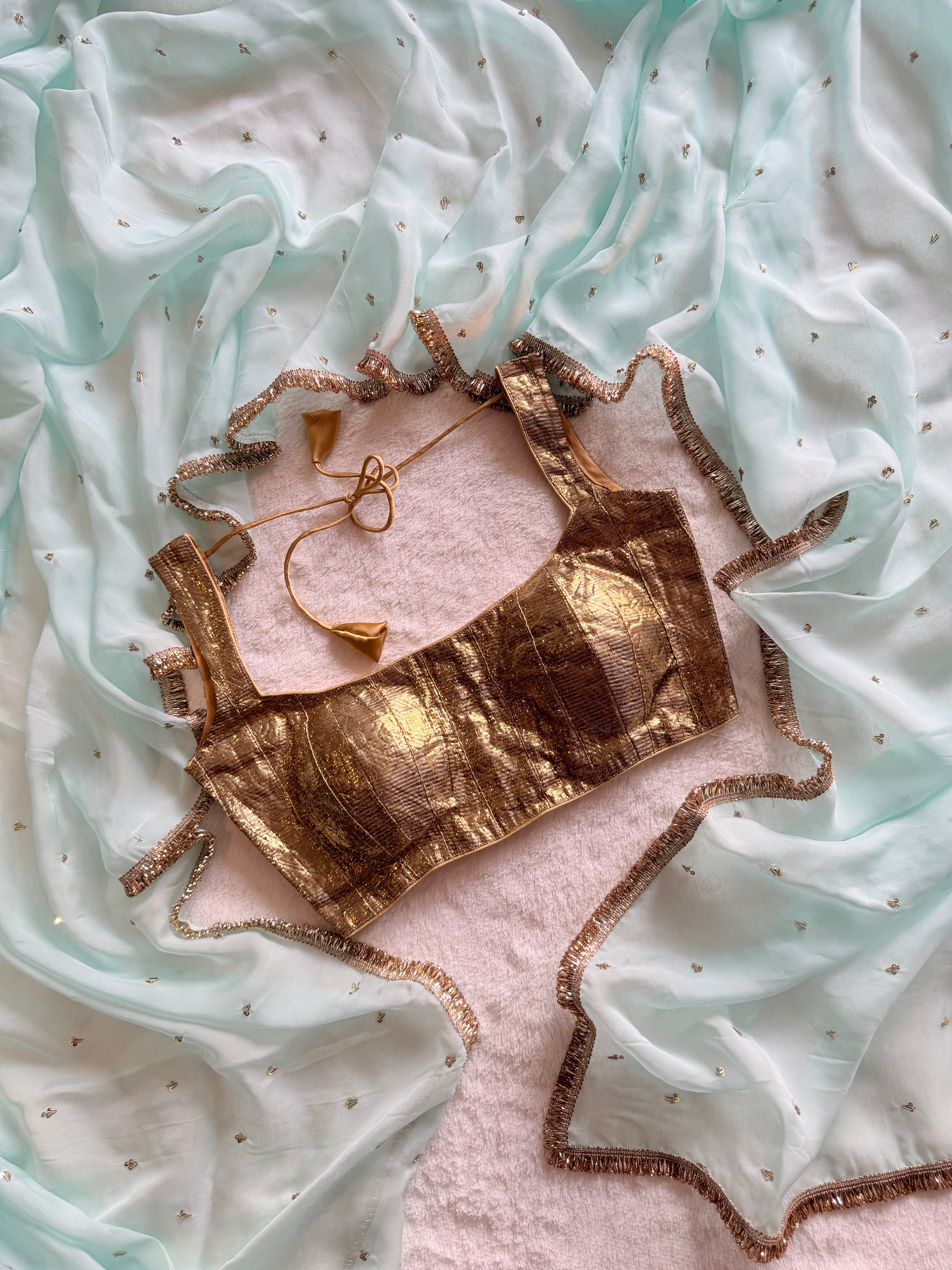 Mridula Hand Embroidered Organza Saree