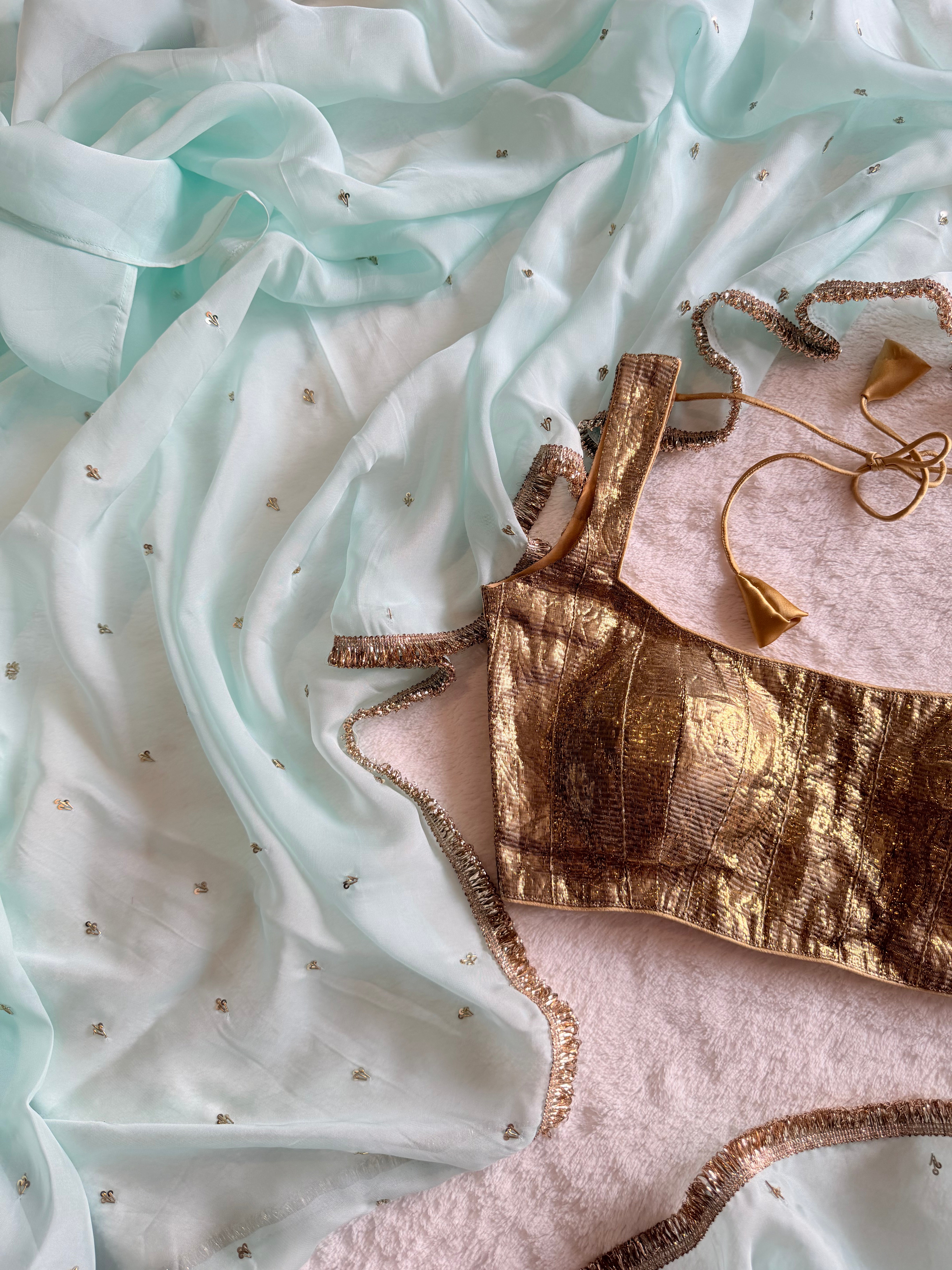 Mridula Hand Embroidered Organza Saree