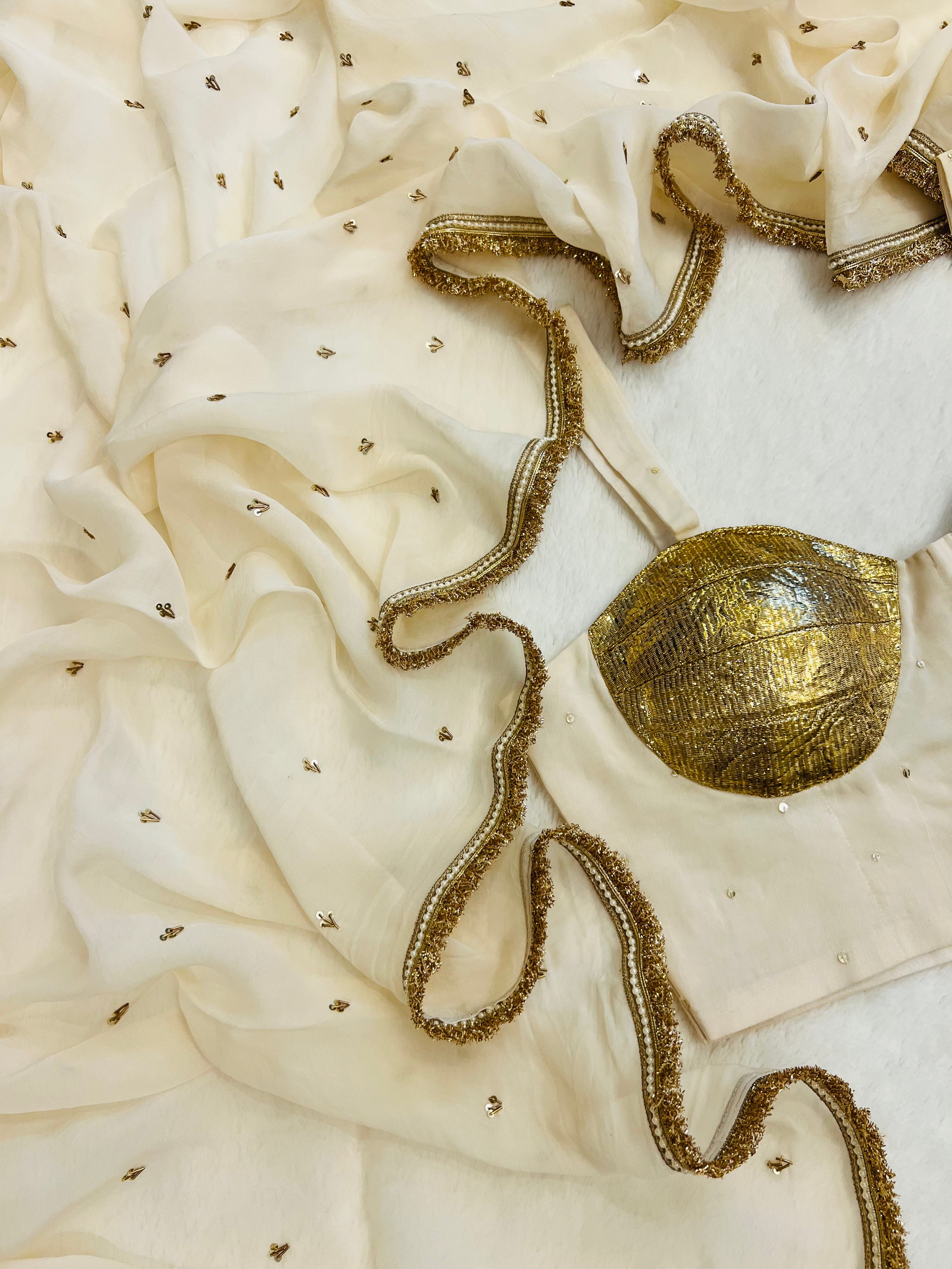 Noor-e-zari Handwork Saree