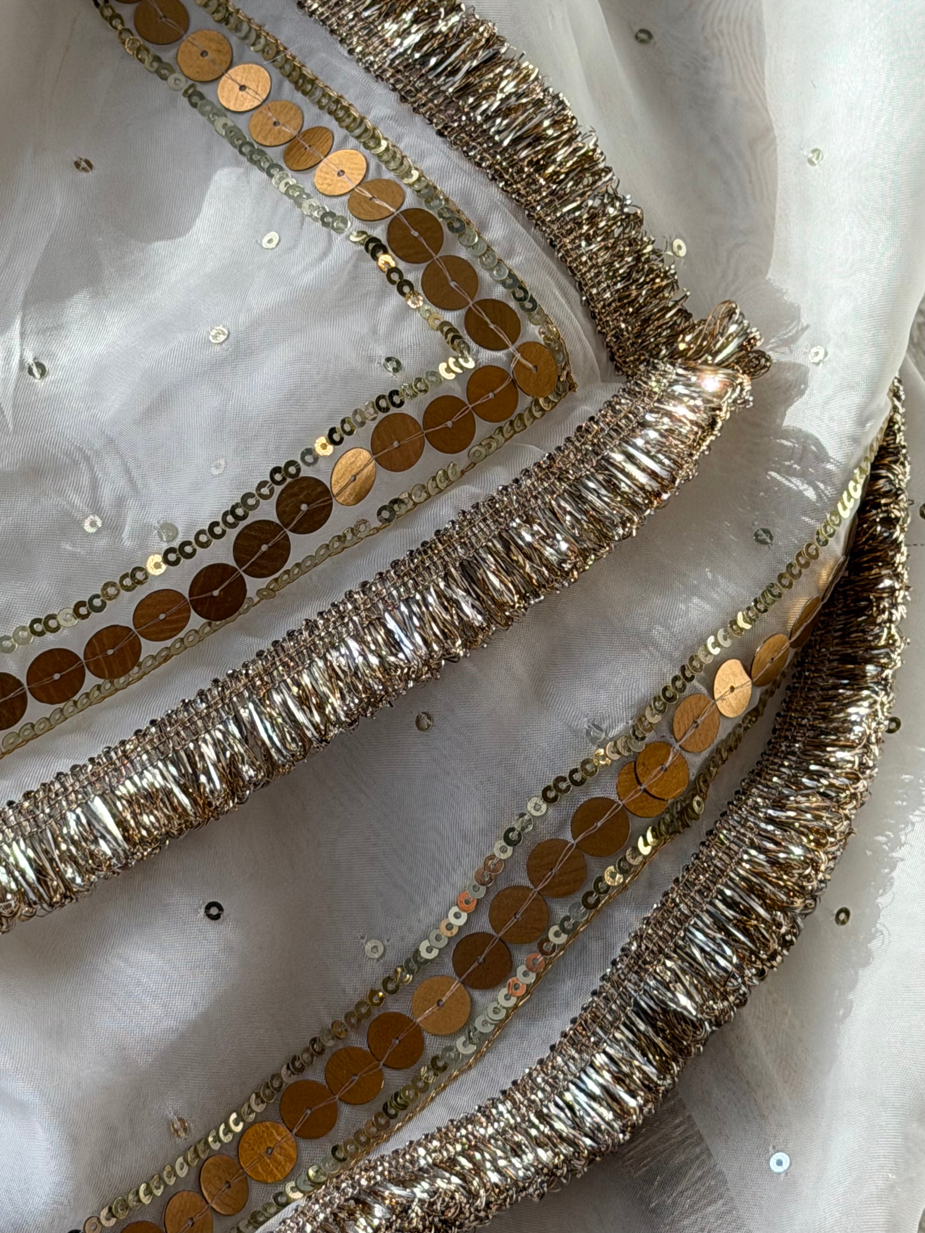 Golden Cloud Handwork saree