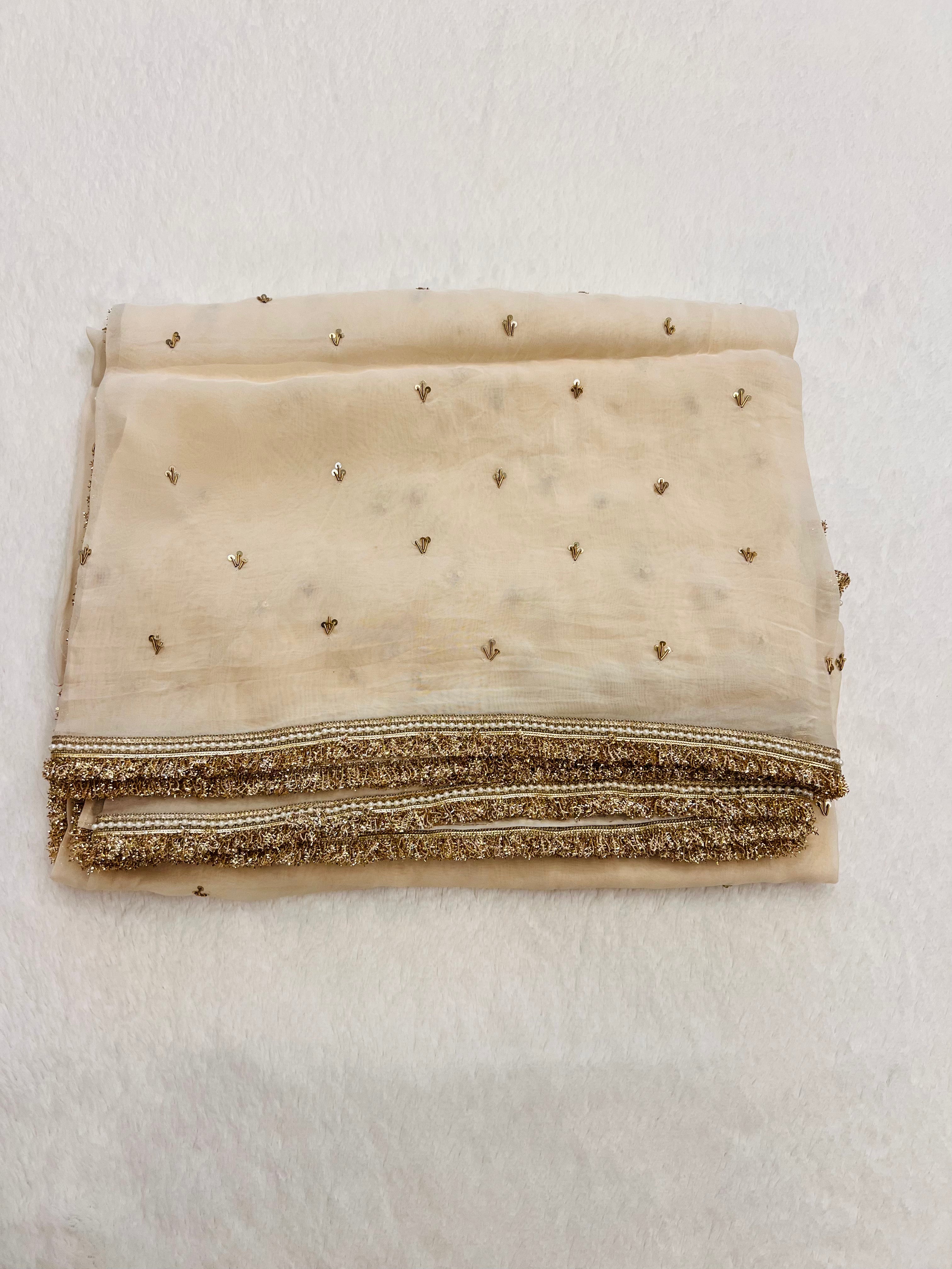 Noor-e-zari Handwork Saree