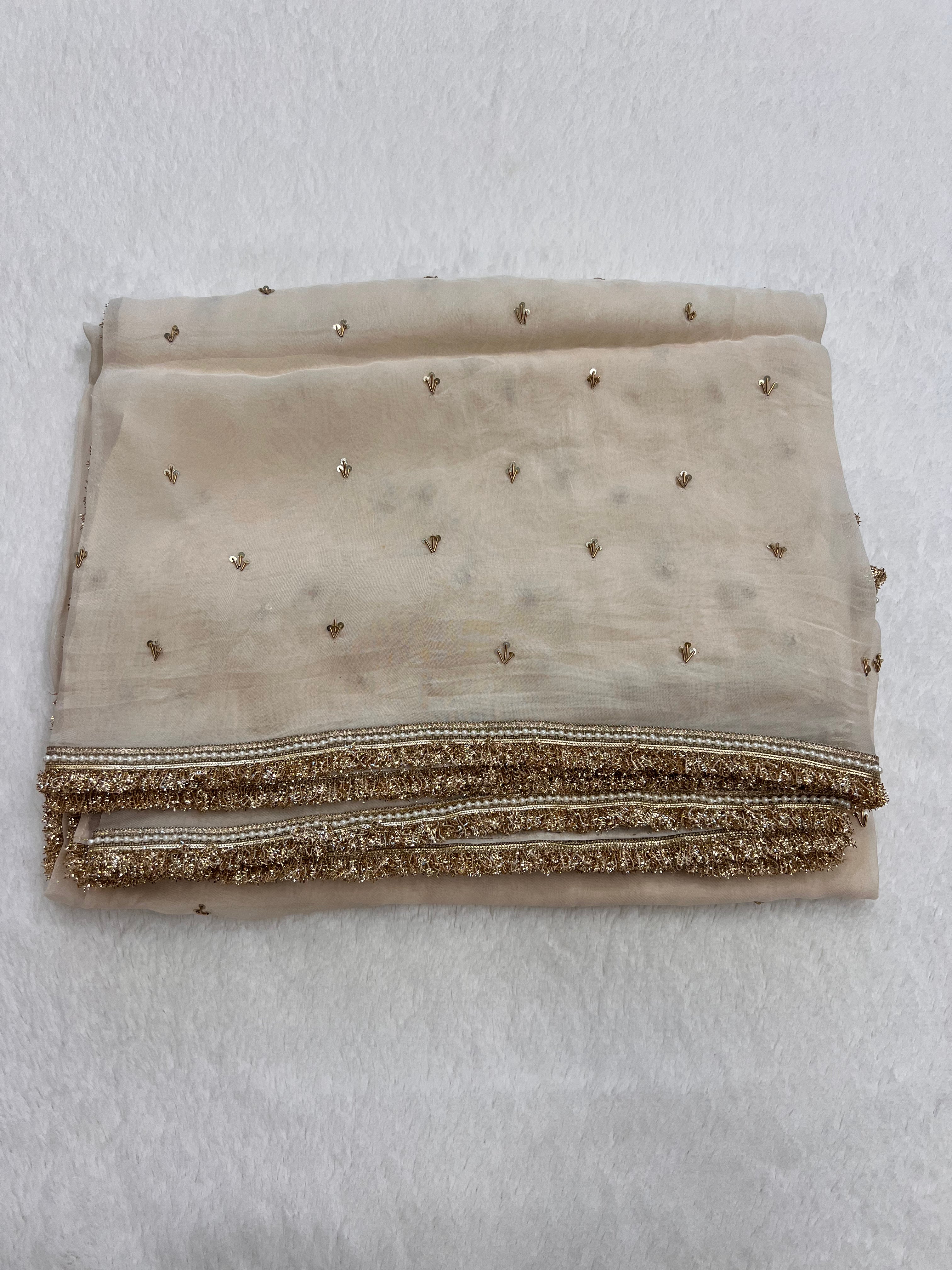 Noor-e-zari Handwork Saree