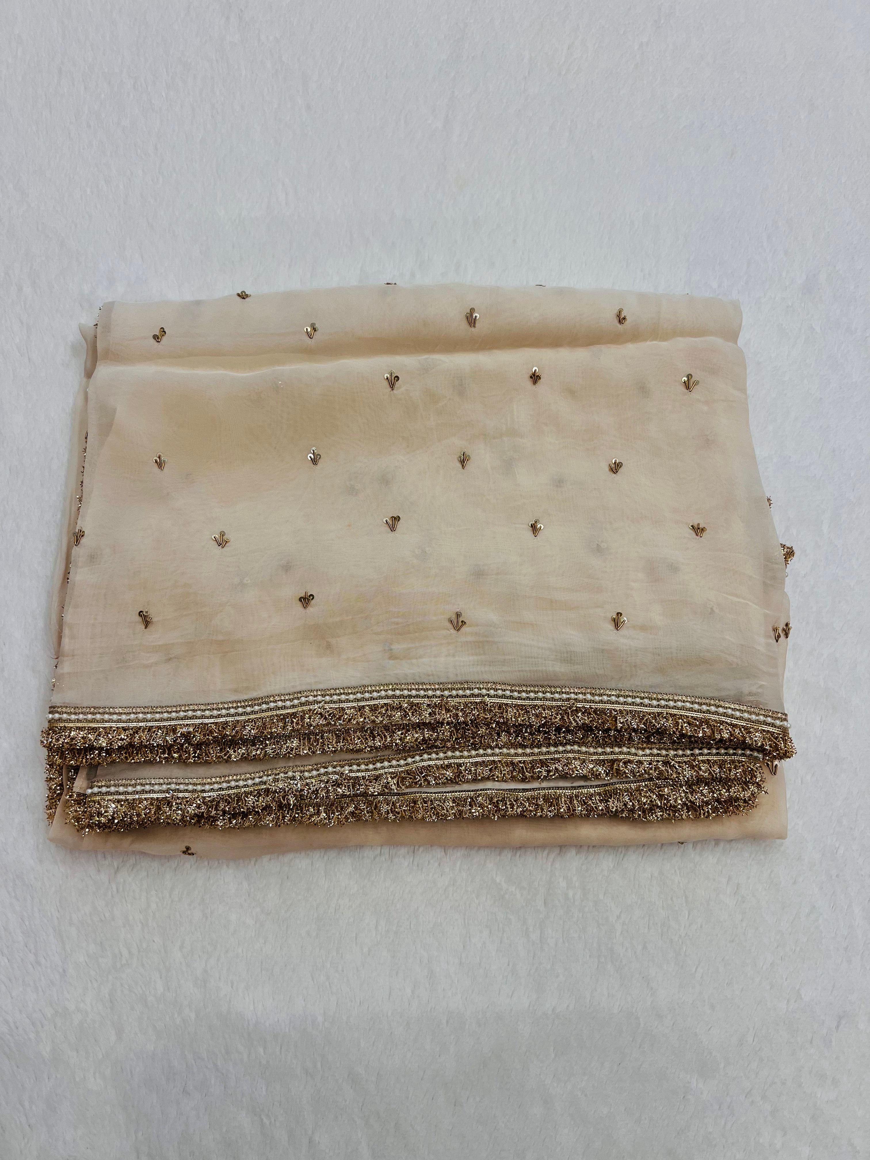 Noor-e-zari Handwork Saree