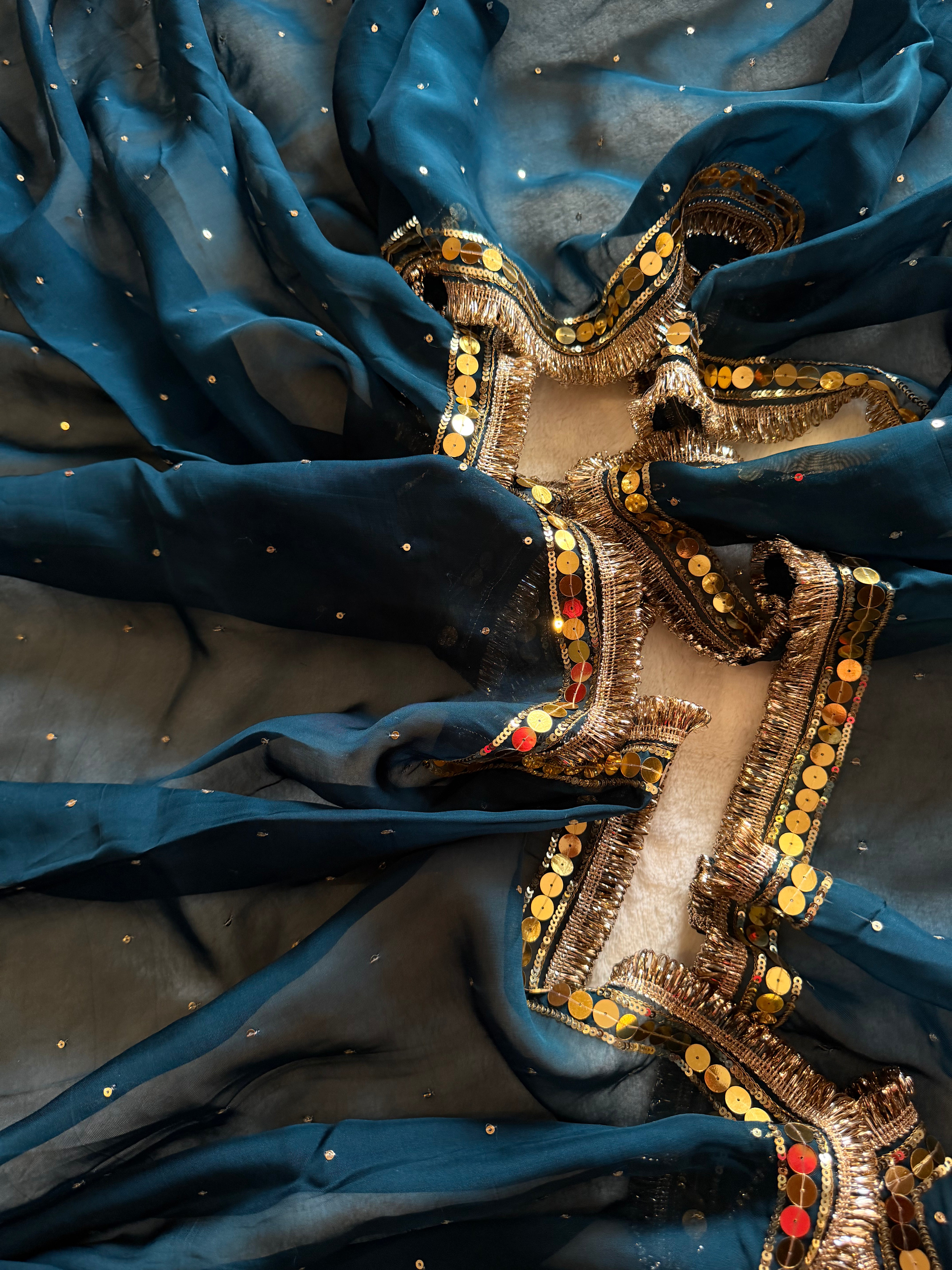 Chandra Hand Embroidered Organza Saree