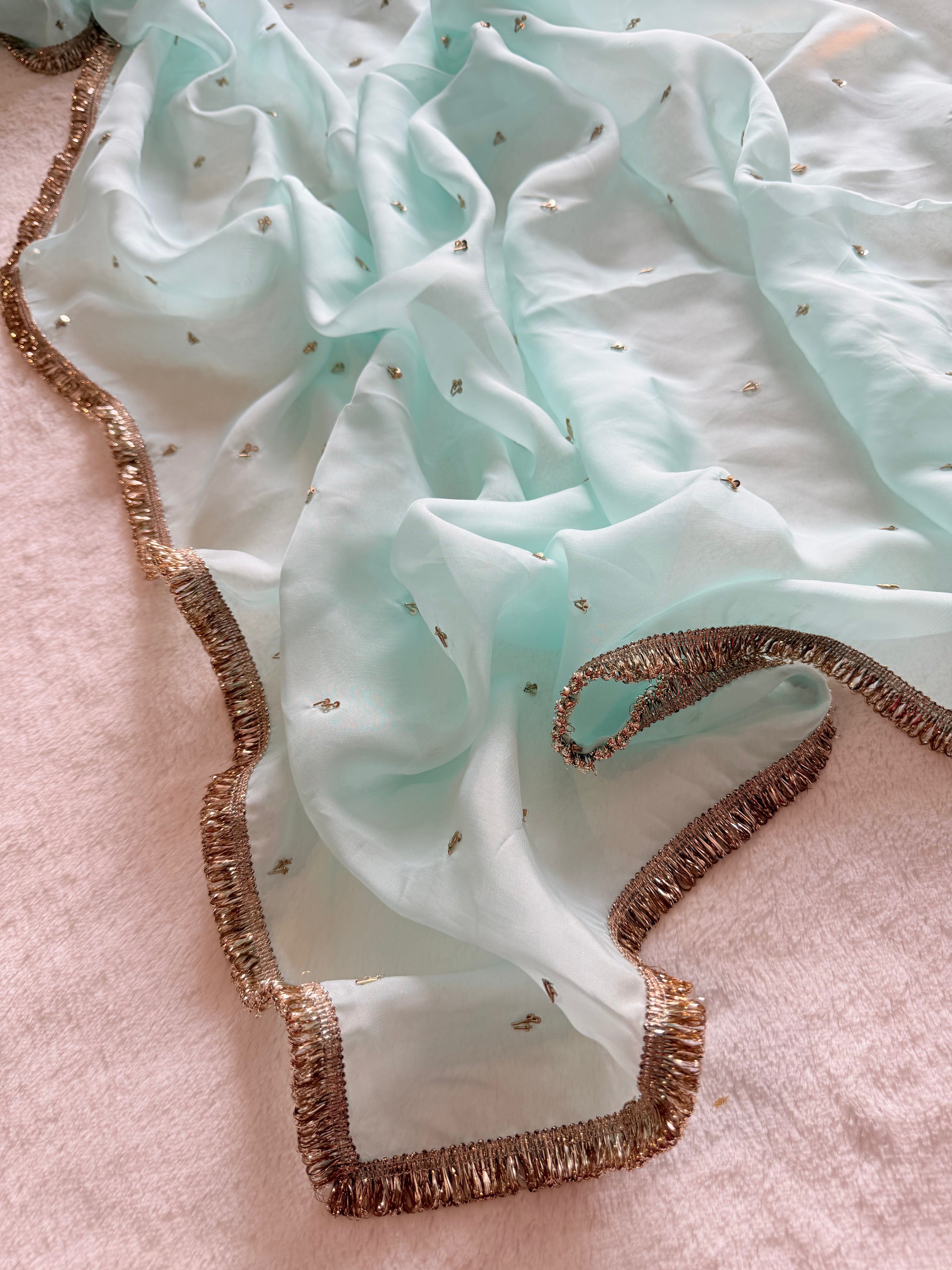 Mridula Hand Embroidered Organza Saree