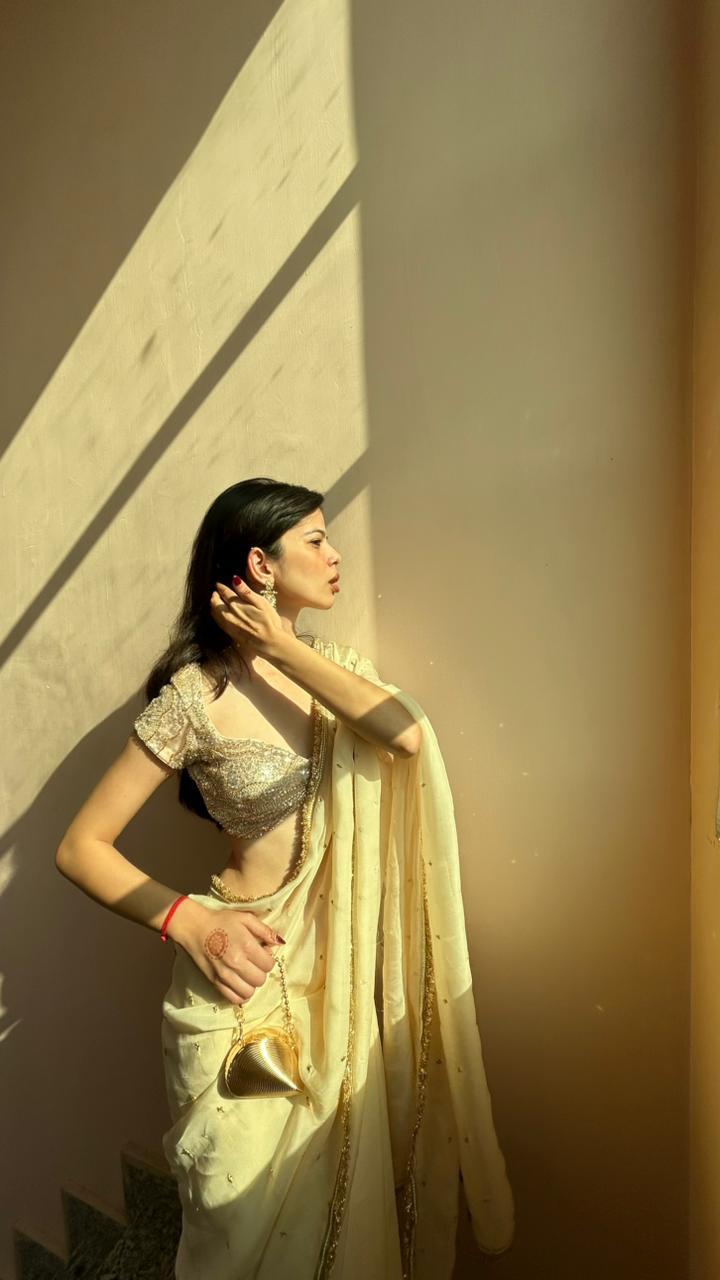 Noor-e-zari Handwork Saree