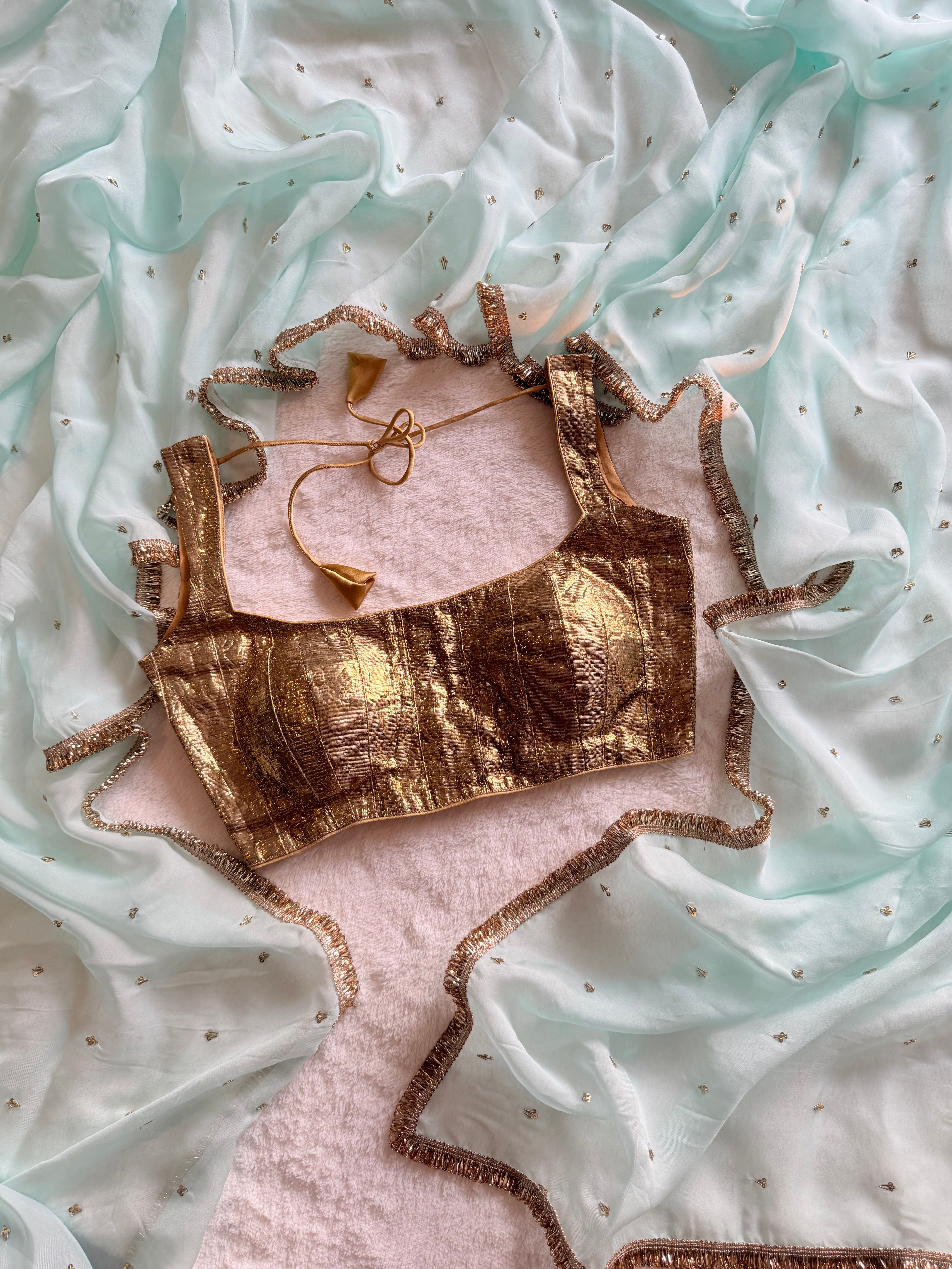 Mridula Hand Embroidered Organza Saree