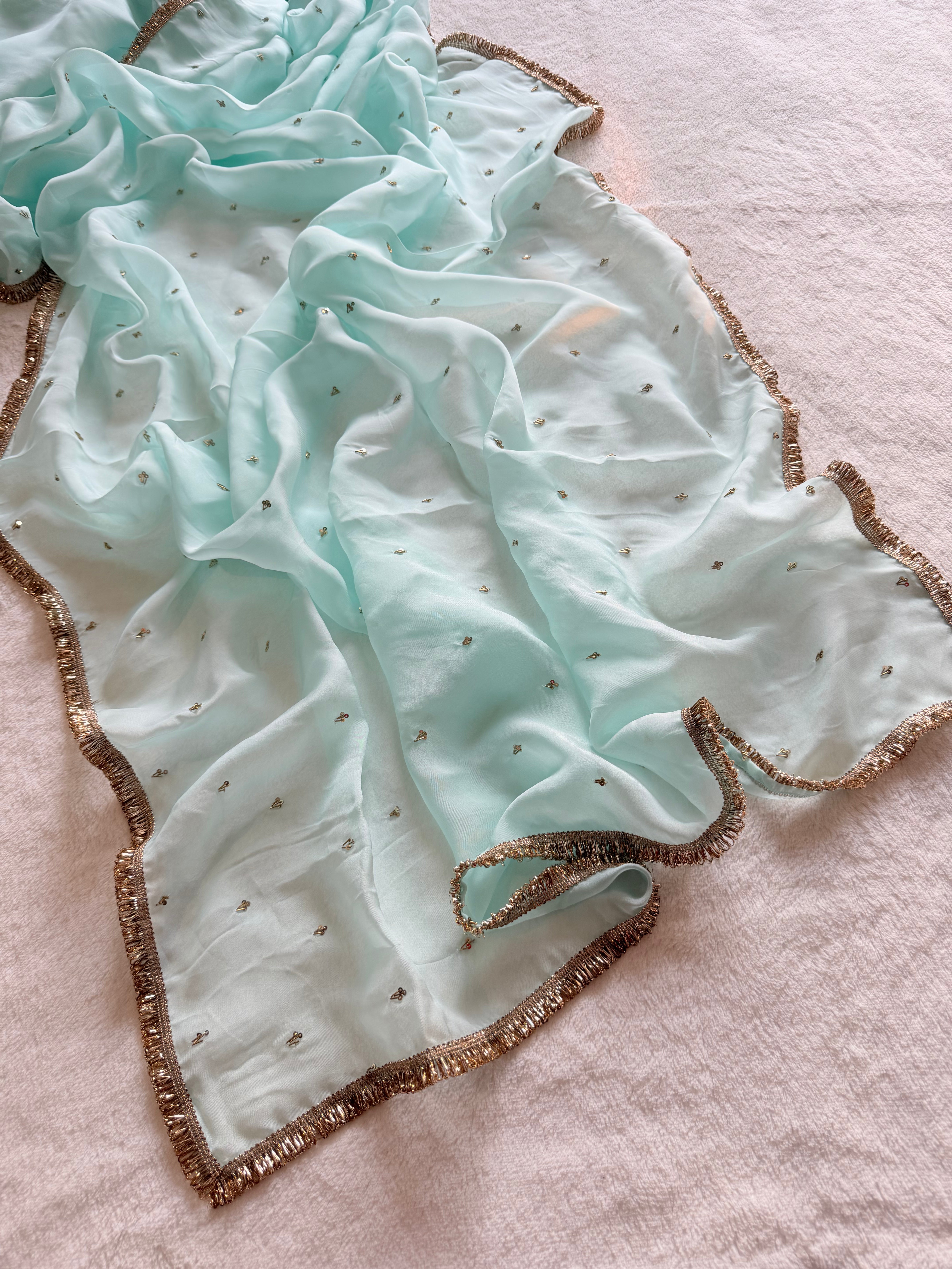 Mridula Hand Embroidered Organza Saree