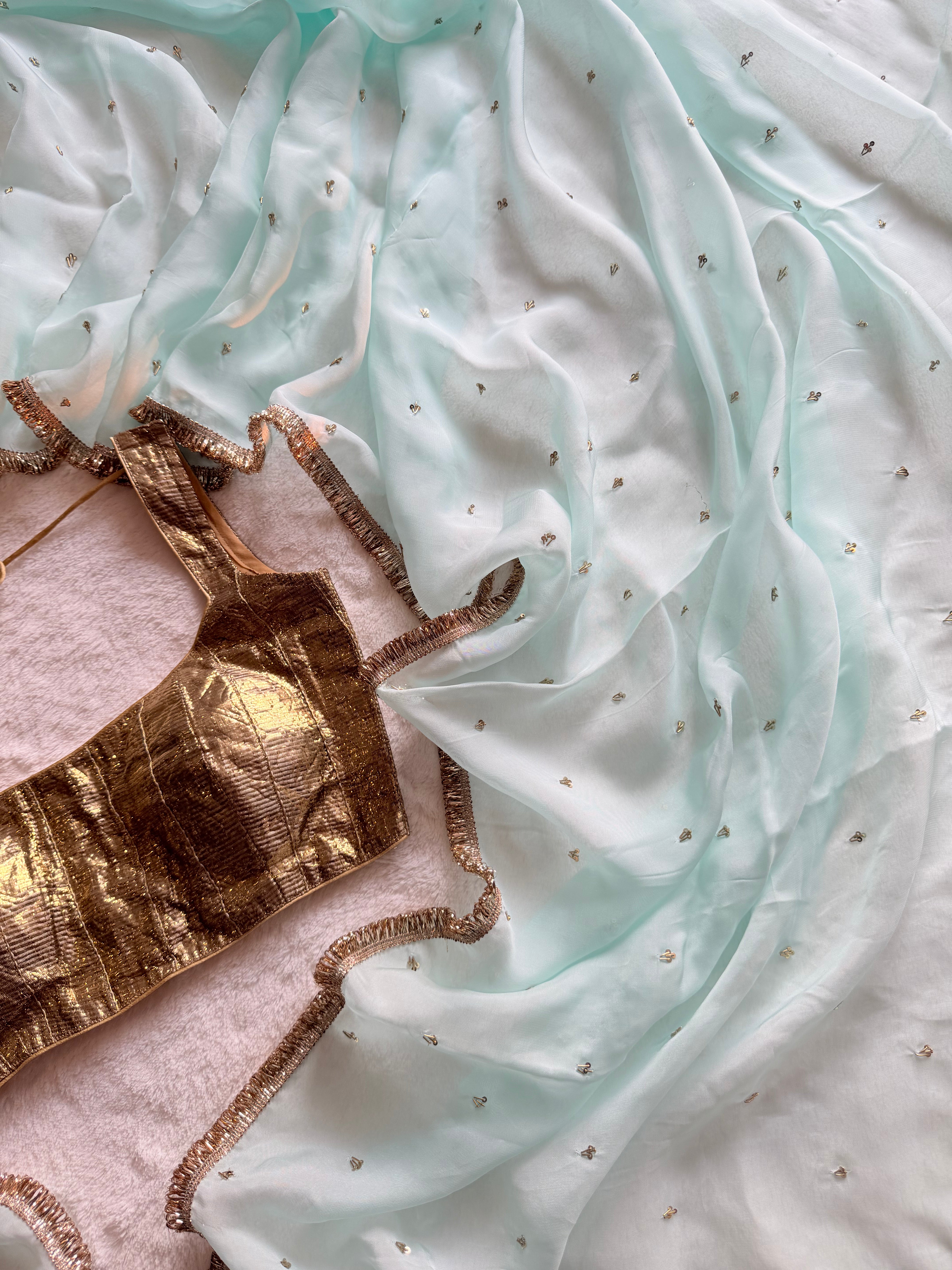 Mridula Hand Embroidered Organza Saree