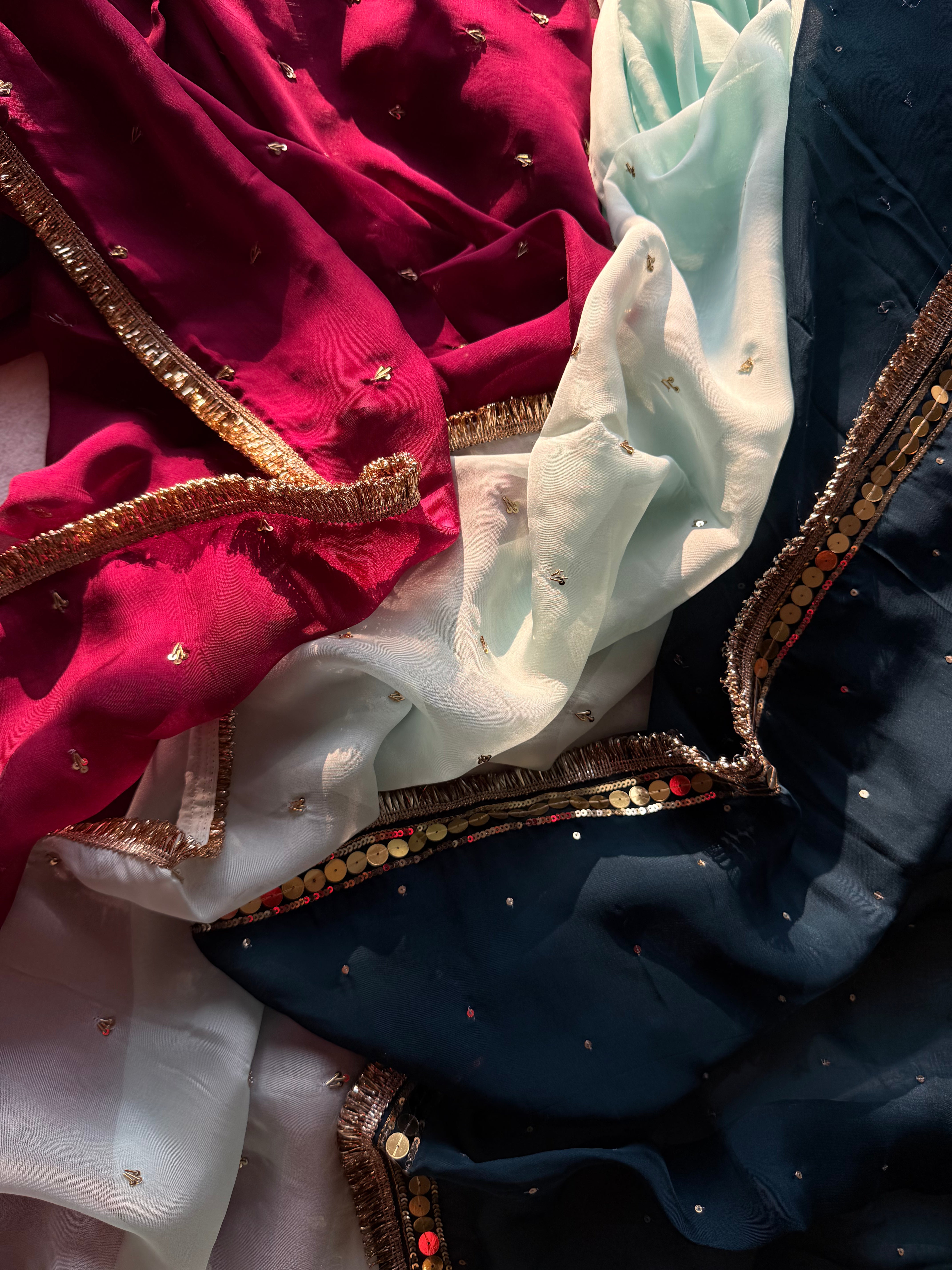 Elara  Hand Embroidered Organza Saree