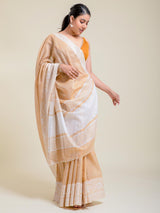 Paradise Saree