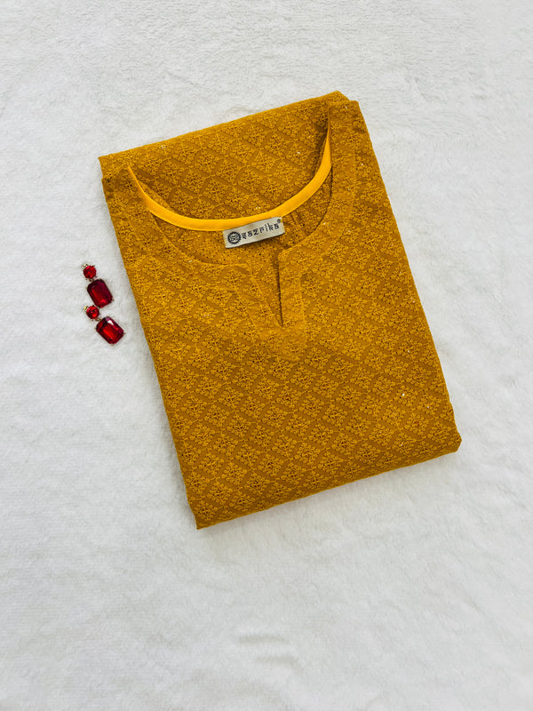 Classic Charm Chikankari Kurti
